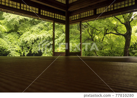 Ruriko-in Temple in Yase, Kyoto, a popular tourist spot in Kyoto, Ao Momiji no Niwa, an SNS shining spot, Yasuragi no Sato 77810280