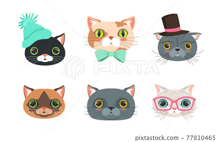 Different Cat Muzzle and Heads with Whiskers Vector Set Different Cat Muzzle and Heads with Whiskers Vector Set 77810465