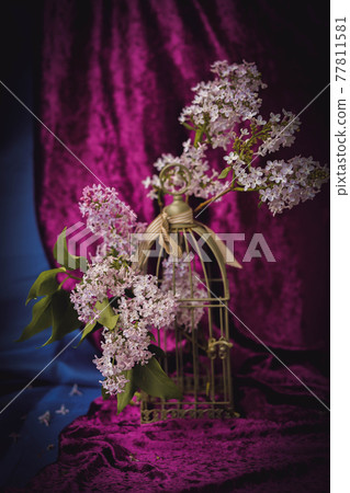 Floral still life with beautiful branches of lilac Floral still life with beautiful branches of lilac 77811581