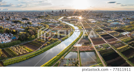 Aerial view "Saitama Prefecture" Minuma rice field and sunset scenery Aerial view "Saitama Prefecture" Minuma rice field and sunset scenery 77811911
