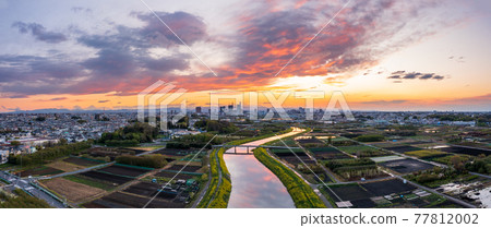 鳥瞰“埼玉縣”自然資源豐富的水沼稻田和美麗的夜景 77812002