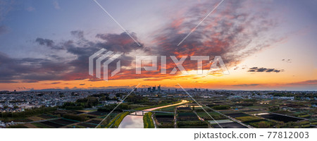 鳥瞰“埼玉縣”自然資源豐富的水沼稻田和美麗的夜景 77812003
