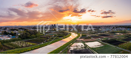 鳥瞰“埼玉縣”自然資源豐富的水沼稻田和美麗的夜景 77812004