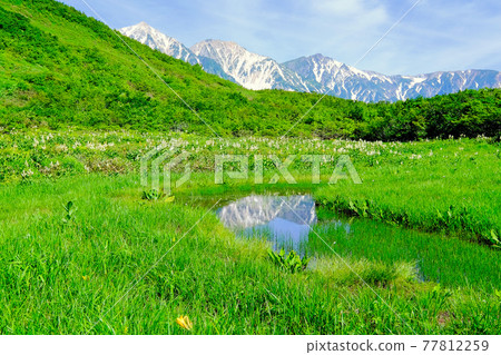 倒映在池塘中的白馬三山 77812259