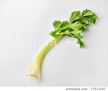 芹菜 芹菜 77812297