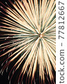 Fireworks like a chrysanthemum 77812667