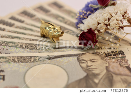 Money and pig Money and pig 77812876
