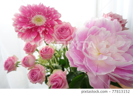 玫瑰、非洲菊和牡丹花束 玫瑰、非洲菊和牡丹花束 77813152
