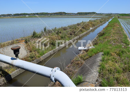 引水渠和排水渠茨城縣 77813313