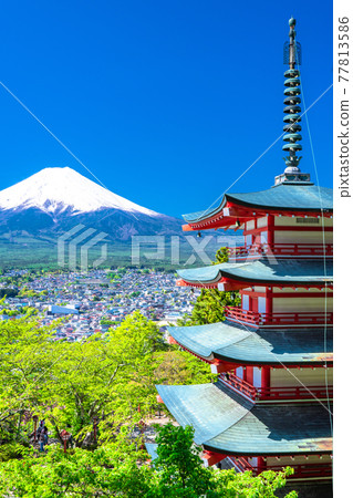 《Yamanashi Prefecture》 Mt. Fuji, fresh greenery and five-storied pagoda, Arakurayama Sengen Park 《Yamanashi Prefecture》 Mt. Fuji, fresh greenery and five-storied pagoda, Arakurayama Sengen Park 77813586