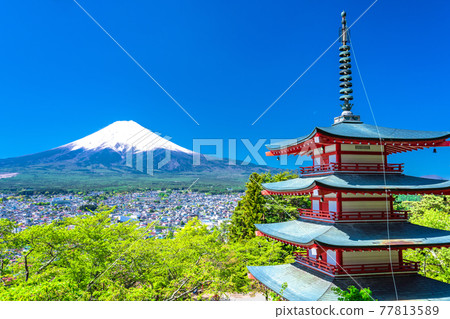 《山梨縣》 富士山、綠樹成蔭、五層寶塔、新倉山淺間公園 77813589