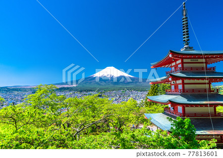 《山梨縣》 富士山、綠樹成蔭、五層寶塔、新倉山淺間公園 77813601