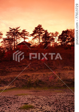 黑三沼澤染成橙色 黑三沼澤染成橙色 77813729