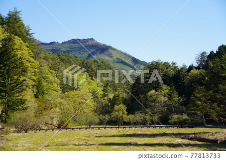 從黑藏沼澤看到的國見山 從黑藏沼澤看到的國見山 77813733