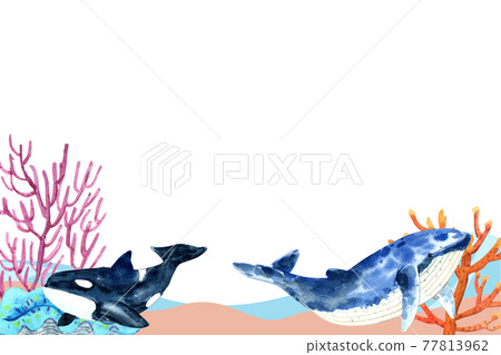 Unseen Oceans & Sealife Frame Watercolor set Unseen Oceans & Sealife Frame Watercolor set 77813962