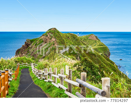 北海道積丹半島神威岬 北海道積丹半島神威岬 77814297
