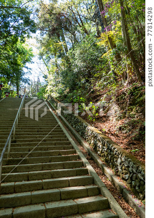 高尾山登山道 77814298