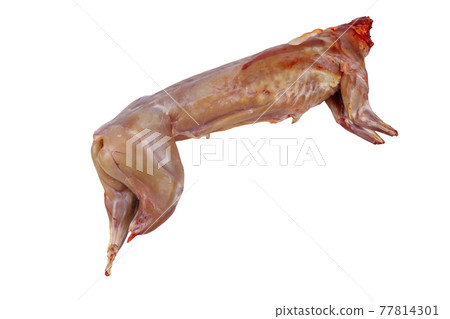 Whole raw rabbit meat isolated on white background Whole raw rabbit meat isolated on white background 77814301