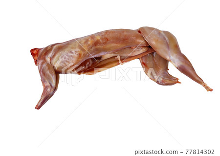 Whole raw rabbit meat isolated on white background Whole raw rabbit meat isolated on white background 77814302