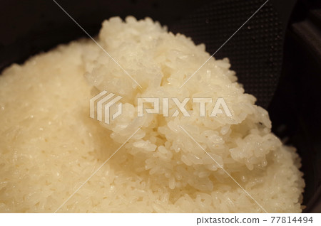 剛煮熟的煲仔飯 77814494