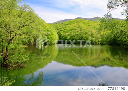 Spring Magarisawanuma (Urabandai, Kitashiobara Village) 77814498