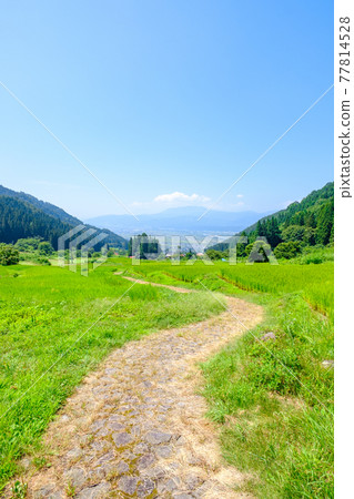 Rice terraces in Fukushima (Iiyama City) 77814528