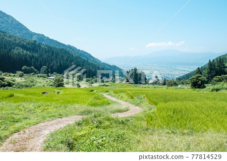 Rice terraces in Fukushima (Iiyama City) Rice terraces in Fukushima (Iiyama City) 77814529