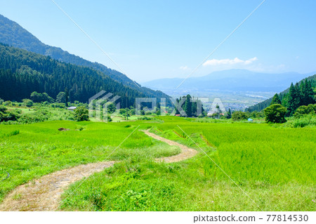 Rice terraces in Fukushima (Iiyama City) Rice terraces in Fukushima (Iiyama City) 77814530