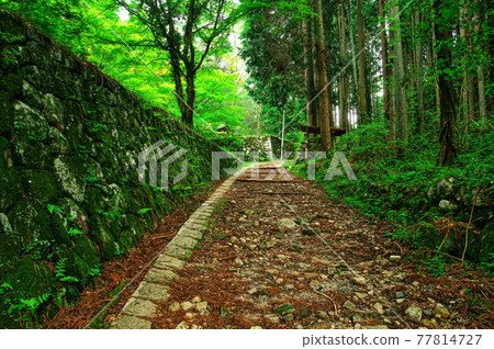 Iwamura Castle Pursuit Gate-Kirigai: Gifu Iwamura Castle Pursuit Gate-Kirigai: Gifu 77814727