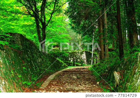 Iwamura Castle Pursuit Gate-Kirigai: Gifu Iwamura Castle Pursuit Gate-Kirigai: Gifu 77814729