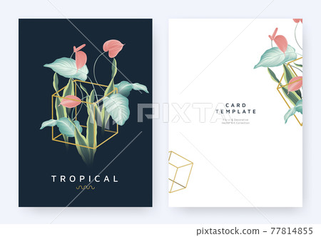 Minimalist invitation card template design, tropical plants and red Anthurium flowers 77814855