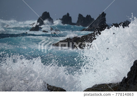 室戶岬的洶湧海浪 77814863