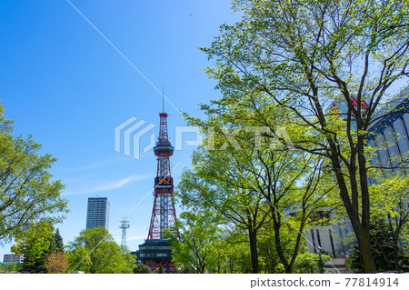 Sapporo TV Tower Urban Landscape Olympic Marathon 77814914