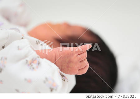 剛出生的新生女孩的手 剛出生的新生女孩的手 77815023