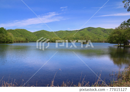 Lake Sohara in spring (Urabandai, Kitashiobara Village) 77815127