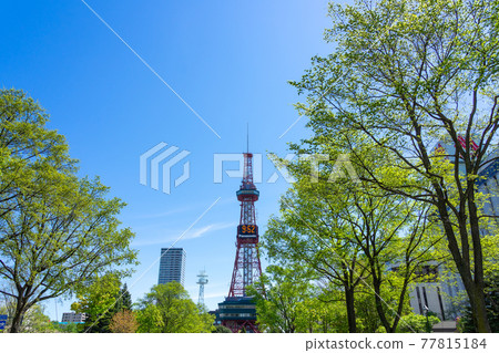 Sapporo TV Tower Urban Landscape Olympic Marathon Sapporo TV Tower Urban Landscape Olympic Marathon 77815184