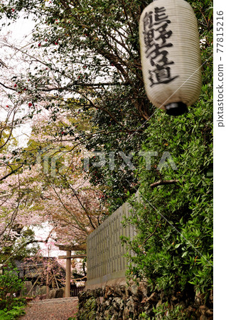 Torii of Fujishiro Shrine (Kumano Kodo heading to Fujishirozaka) Torii of Fujishiro Shrine (Kumano Kodo heading to Fujishirozaka) 77815216