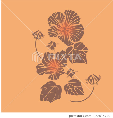 芙蓉3 77815720