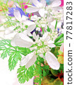 Orlea 77817283