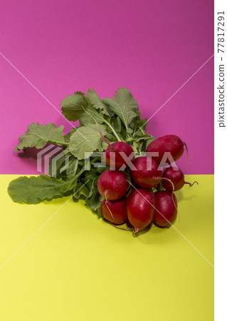 Ripe red radish on a yellow-pink background Ripe red radish on a yellow-pink background 77817291