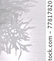 Shadow  77817820