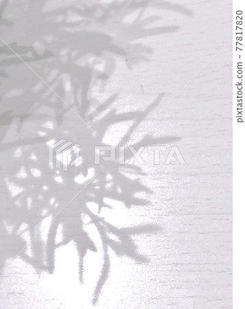 影子 影子 77817820