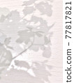 Shadow  77817821