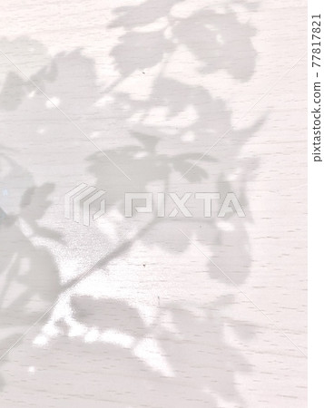 影子 影子 77817821
