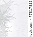 Shadow  77817822