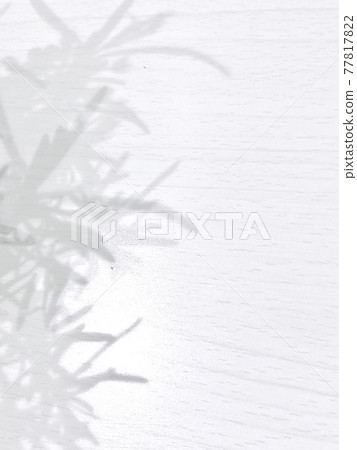Shadow Shadow 77817822
