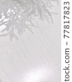 Shadow  77817823
