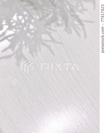 Shadow Shadow 77817823