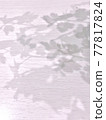 Shadow  77817824