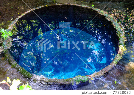 Kakita River Springs (Kakita River Park) Kakita River Springs (Kakita River Park) 77818083